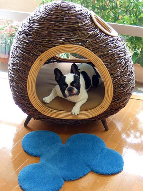 Haustiere - The pampered pooch: Cheeky attractive furniture for pets