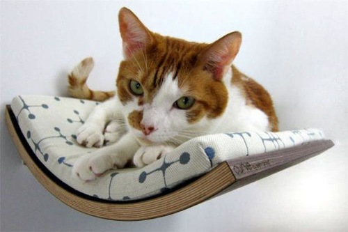 The pampered pooch: Cheeky attractive furniture for pets The pampered pooch: Cheeky attractive furniture for pets