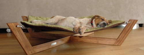 The pampered pooch: Cheeky attractive furniture for pets