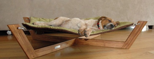 The pampered pooch: Cheeky attractive furniture for pets The pampered pooch: Cheeky attractive furniture for pets