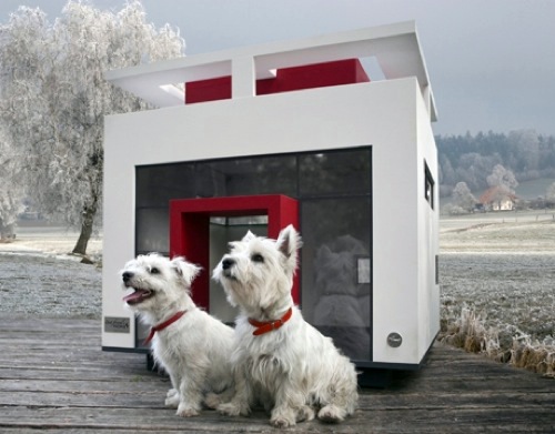 The pampered pooch: Cheeky attractive furniture for pets