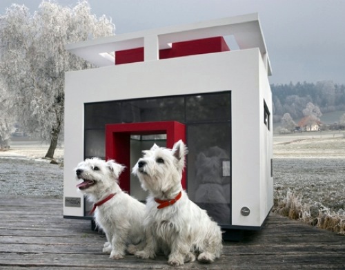 The pampered pooch: Cheeky attractive furniture for pets The pampered pooch: Cheeky attractive furniture for pets