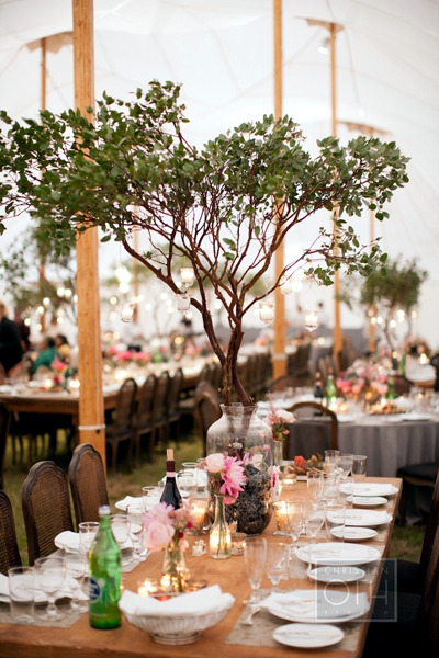 Wedding Inspiration