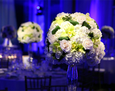 Wedding Inspiration