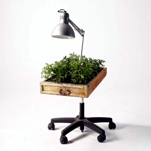 Recycled furniture used as plant containers by Peter Bottazzi and Denise Bonapace
