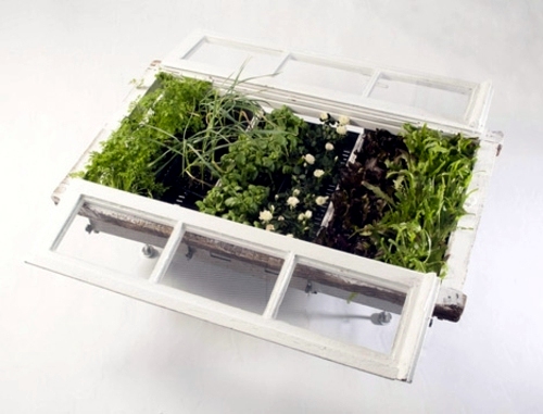 Recycled furniture used as plant containers by Peter Bottazzi and Denise Bonapace Recycled furniture used as plant containers by Peter Bottazzi and Denise Bonapace