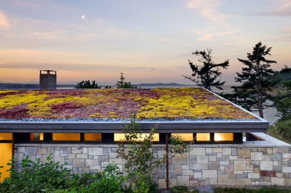 6 Mythical ideas about green roofs