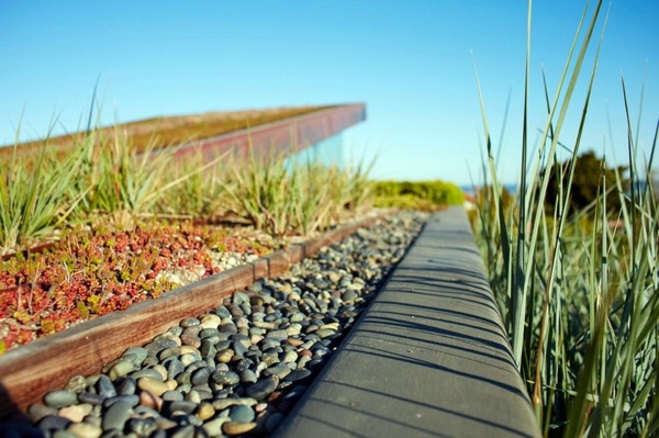 6 Mythical ideas about green roofs