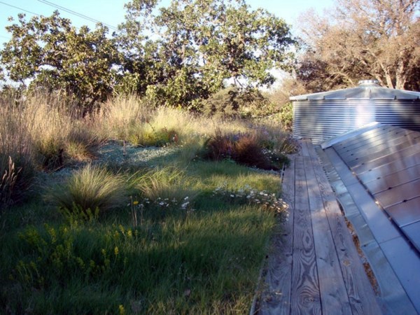 6 Mythical ideas about green roofs