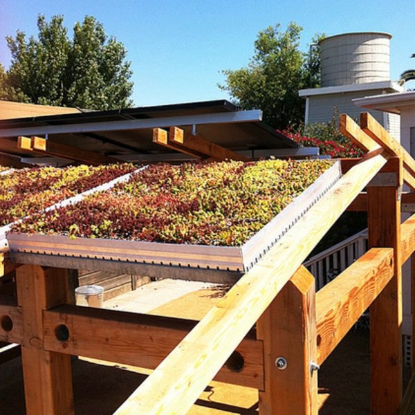 6 Mythical ideas about green roofs