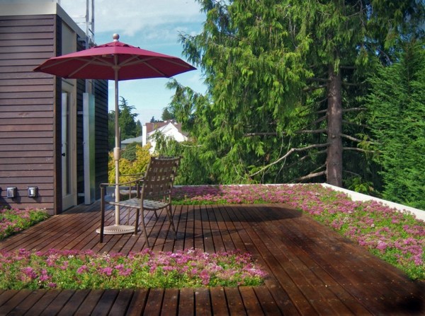 6 Mythical ideas about green roofs