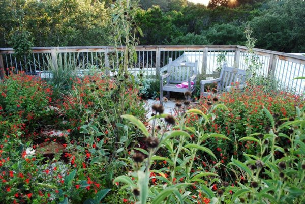 6 Mythical ideas about green roofs