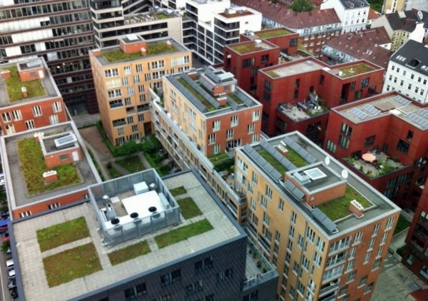 6 Mythical ideas about green roofs