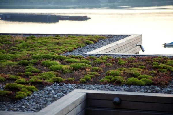 6 Mythical ideas about green roofs