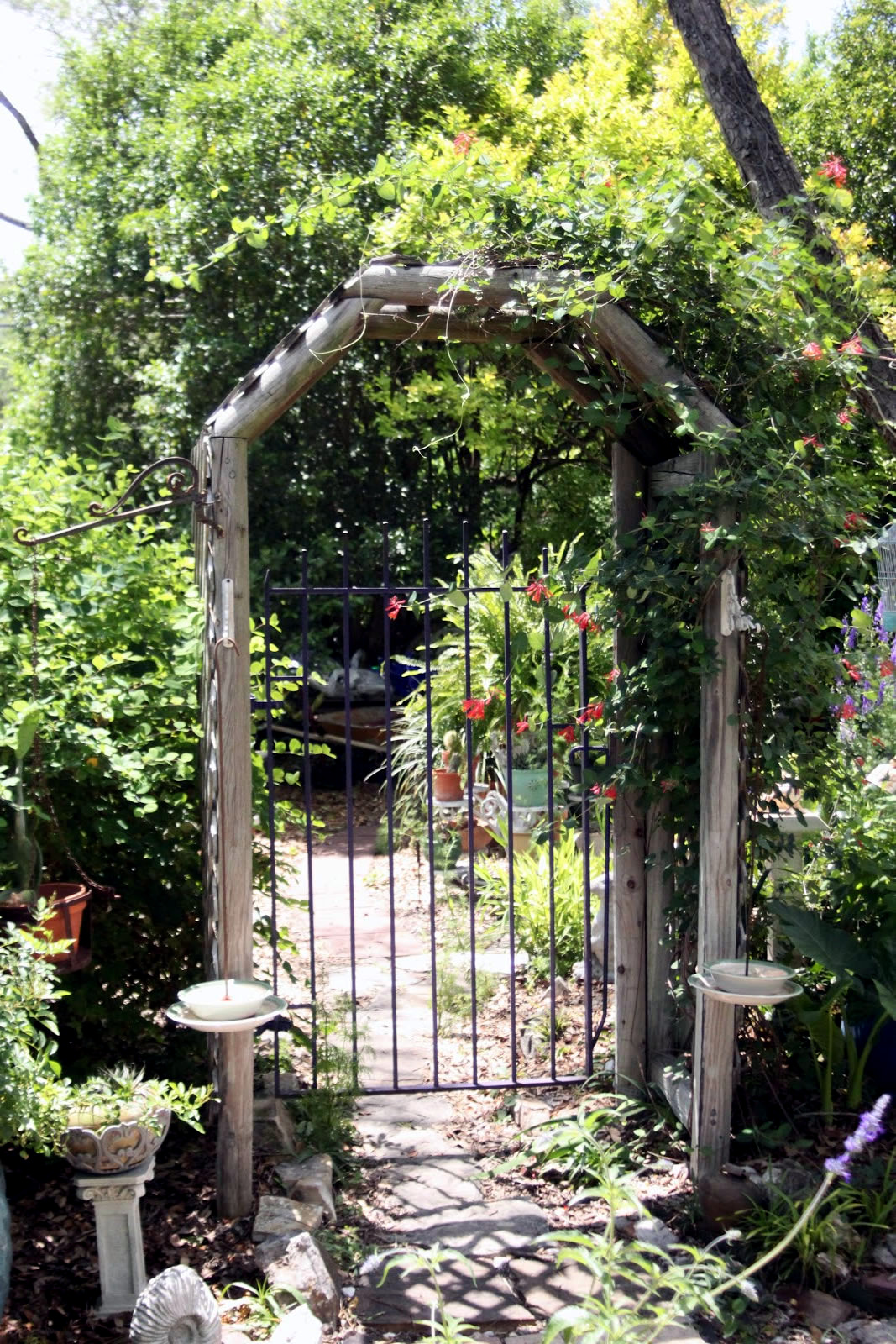Pergola made of wood or metal for a southern flair in the garden Pergola made of wood or metal for a southern flair in the garden
