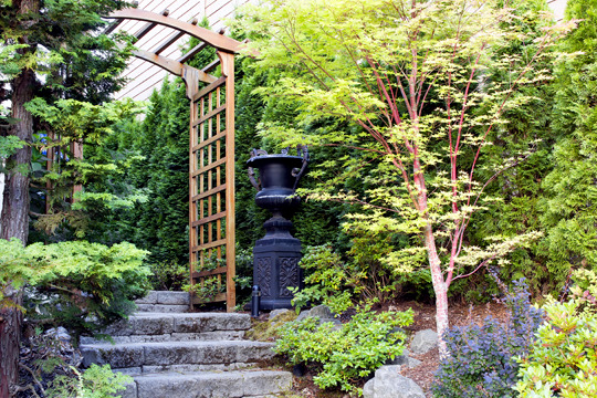 Pergola made of wood or metal for a southern flair in the garden