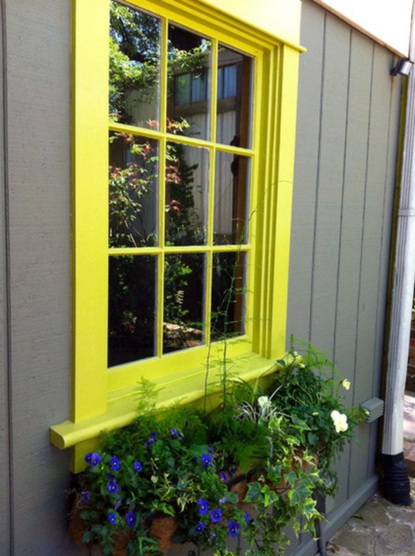 Fresh colors in the garden - 8 Ways for a vibrant design outdoor