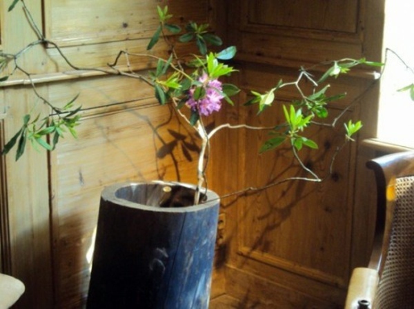20 creative decorating ideas from tree stump