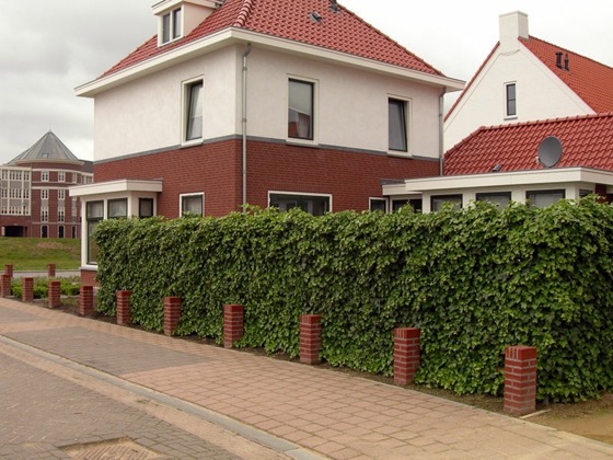 Gartengestaltung - Hedge plants - stylish living fence Gartengestaltung - Hedge plants - stylish living fence