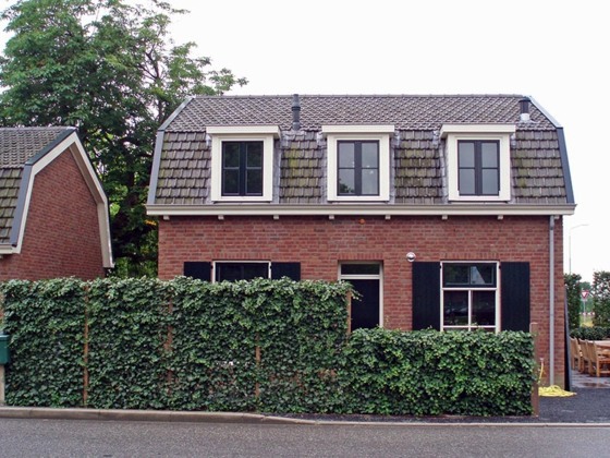 Hedge plants - stylish living fence