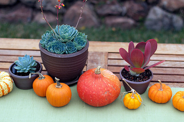 Stylish decorating ideas for your table, which you can use at your next party at home