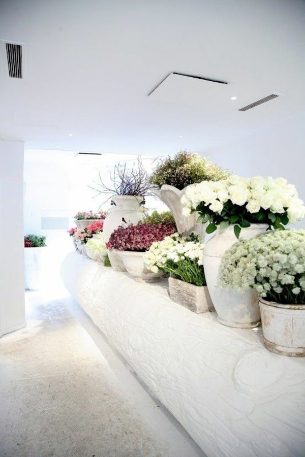 Garden ideas in autumn - bring your potted plants indoors!