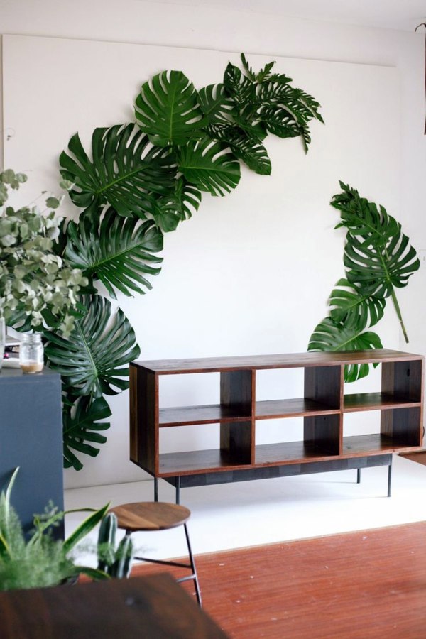 Garden ideas in autumn - bring your potted plants indoors!