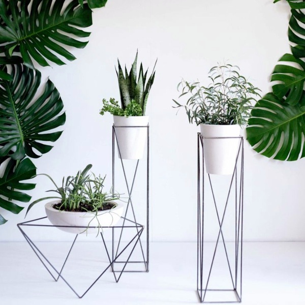 Garden ideas in autumn - bring your potted plants indoors!
