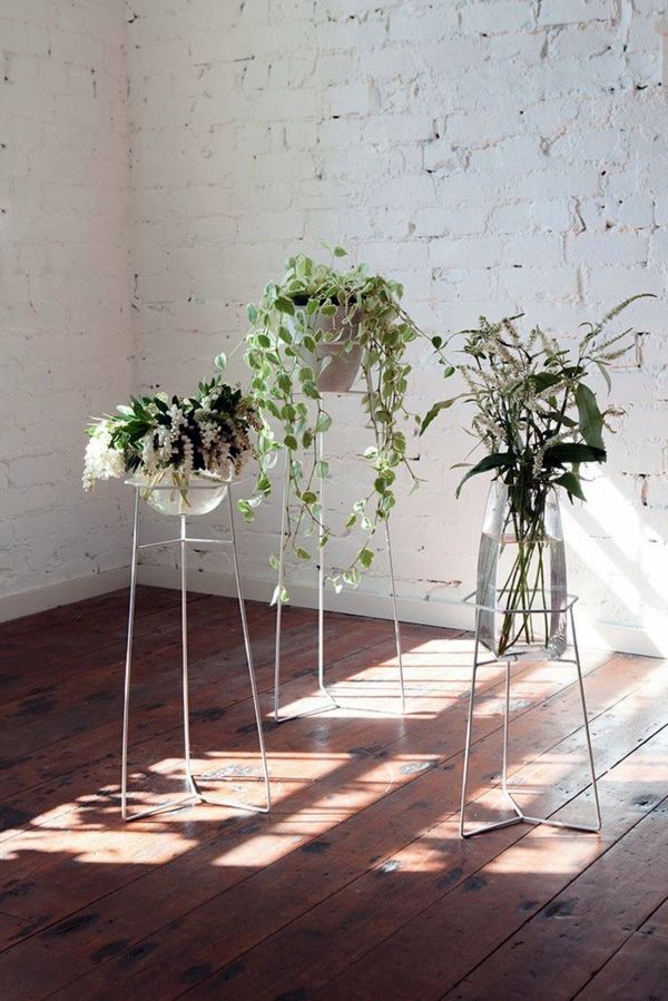 Garden ideas in autumn - bring your potted plants indoors!