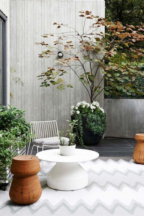 Garden ideas in autumn - bring your potted plants indoors!