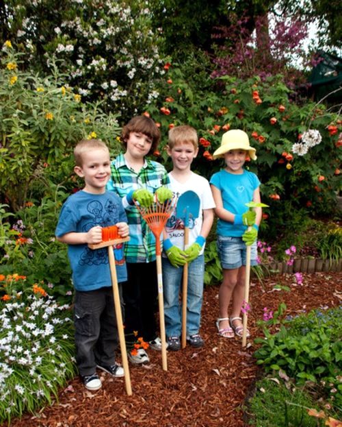 Enjoy the beautiful scenery on the State Garden Show in Australia Enjoy the beautiful scenery on the State Garden Show in Australia