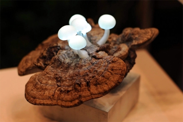 Mushroom-shaped LED lighting by Yukio Takano Mushroom-shaped LED lighting by Yukio Takano
