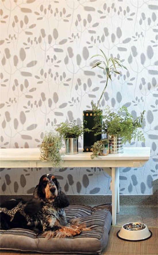 Cool interior design ideas, which include the redesign with Wall Murals