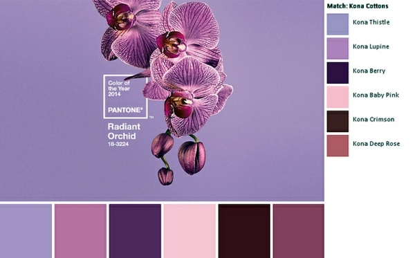 Wall color Berry - trendy shades for a modern wall design