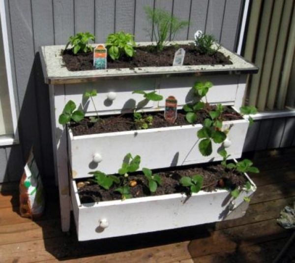 Old drawers awaken to new life