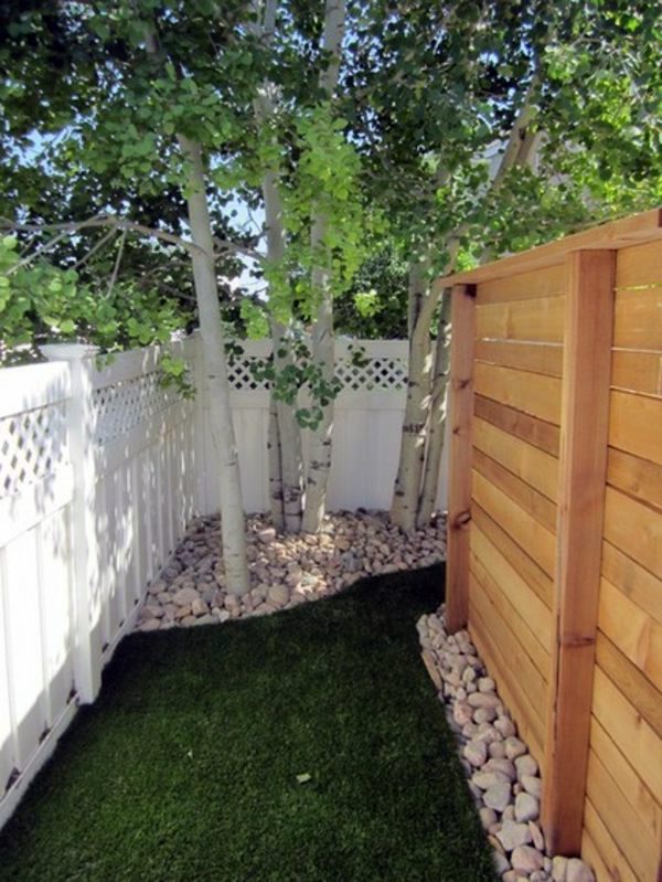 Dogs love to play outdoors - is your garden dog needs?
