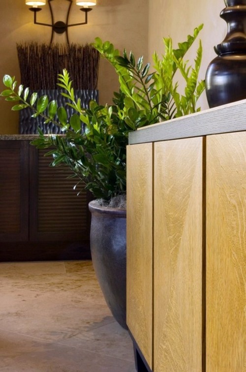 Do you know a decorative plant showing long endurance and a forgiving heart has