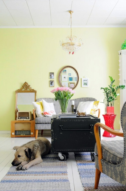 Do you know a decorative plant showing long endurance and a forgiving heart has