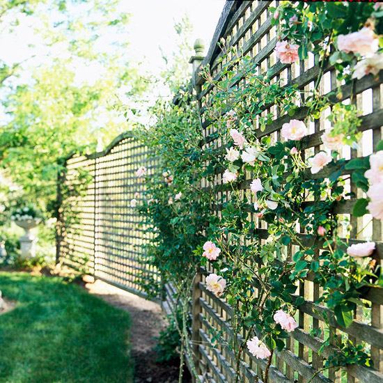 Garden fence - practical and aesthetic applications