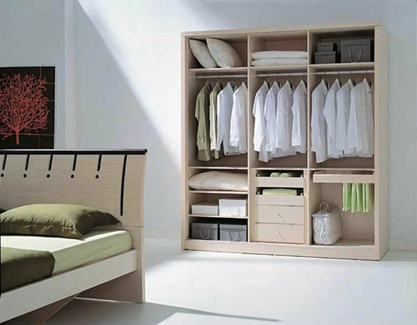 Intelligently organize the closet: 50 images, stock plans and ideas with closets