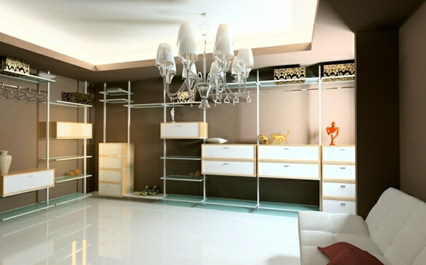 Intelligently organize the closet: 50 images, stock plans and ideas with closets