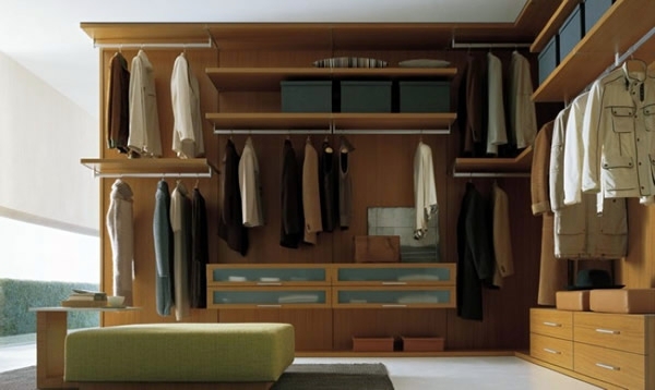 Intelligently organize the closet: 50 images, stock plans and ideas with closets
