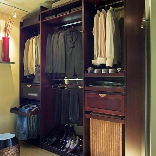 Intelligently organize the closet: 50 images, stock plans and ideas with closets