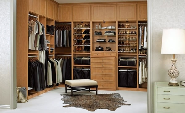 Intelligently organize the closet: 50 images, stock plans and ideas with closets