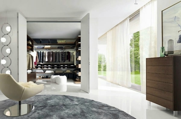 Intelligently organize the closet: 50 images, stock plans and ideas with closets