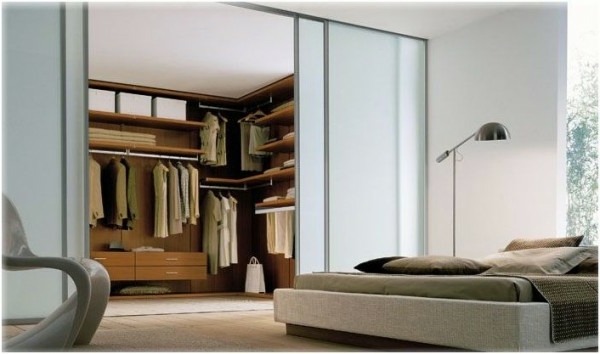 Intelligently organize the closet: 50 images, stock plans and ideas with closets