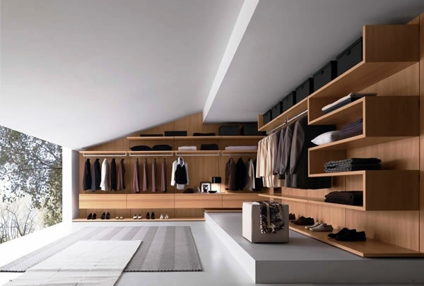 Intelligently organize the closet: 50 images, stock plans and ideas with closets