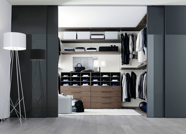 Intelligently organize the closet: 50 images, stock plans and ideas with closets