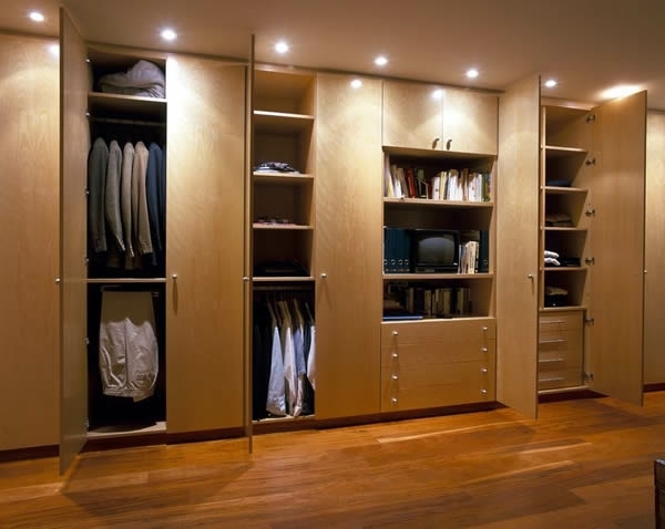 Intelligently organize the closet: 50 images, stock plans and ideas with closets