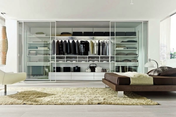 Intelligently organize the closet: 50 images, stock plans and ideas with closets
